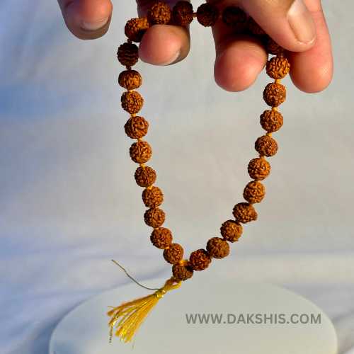 Divine 5 Mukhi Rudraksha Mala  (29 Beads)