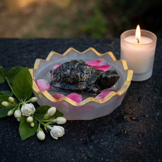 Energy Bowl and Pyrite Tortoise Combo
