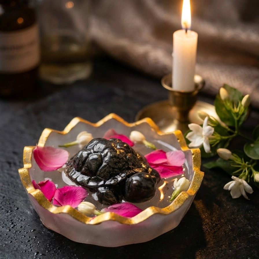 Energy Bowl For Pyrite Tortoise ( Only Bowl )