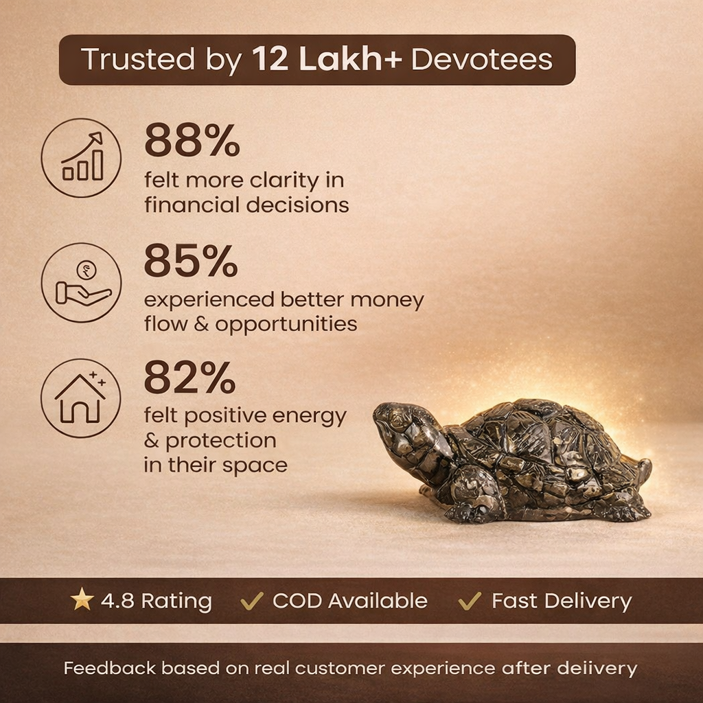 Pyrite Tortoise for Good Luck & Wealth (Kachhua) ADD ON